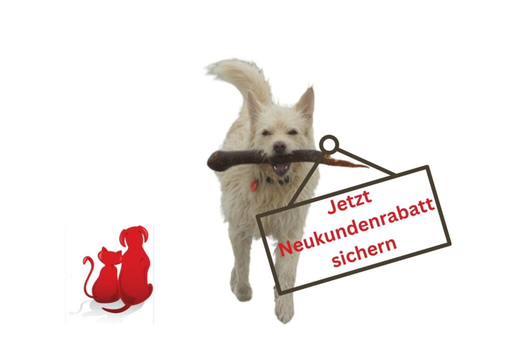 Hundefutter