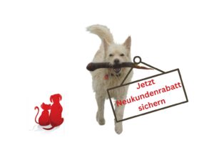 Hundefutter