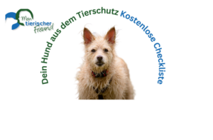 Gratis Checkliste Hund Tierschutz