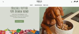 Testsieger Hundefutter