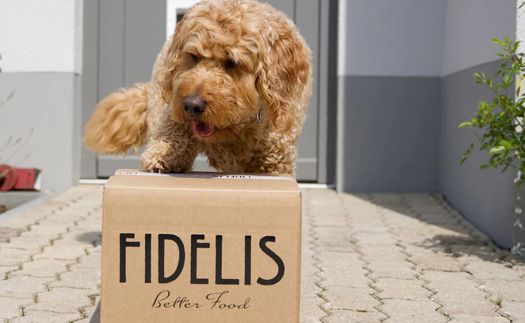 Testsieger Hundefutter Fidelis