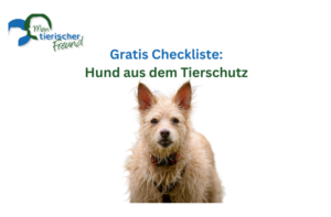 Hund Tierheim Checkliste