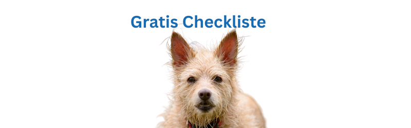Hund Tierheim Checkliste gratis