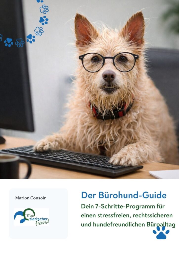 Der Bürohund-Guide Bürohund Guide