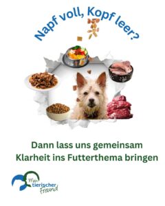 Newsletter Hundeernährung