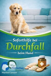 Durchfall beim Hund