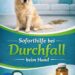 Durchfall beim Hund