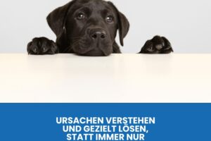 Hund Durchfall