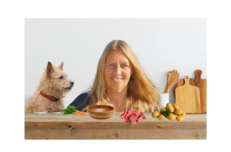 Ern&auml;hrungsberatung f&uuml;r Hunde