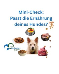 Hundefutter Quiz