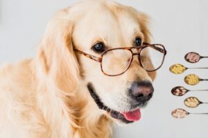 Nahrungsergaenzungsmittel Hund
