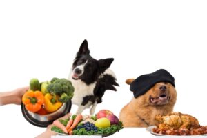 Veganes Hundefutter