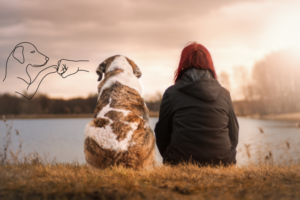 Hundetrainer