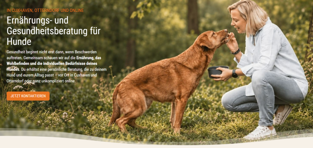 Wie sieht ein guter Essensplan f&uuml;r Hunde aus