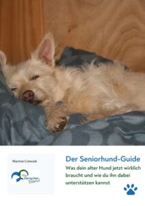 Hund &auml;lter Seniorhund Guide