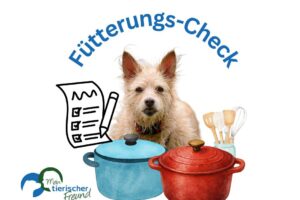 Hund Ernährungsberatung