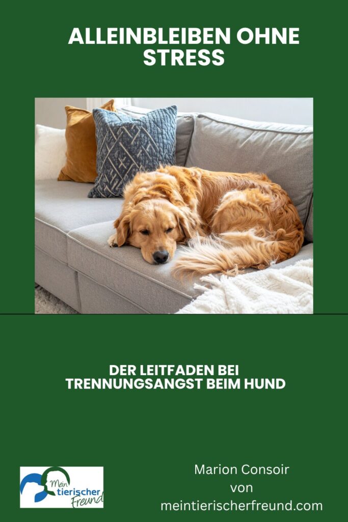 Trennungsangst Hund